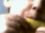 angzia.avi | 3,12Mb